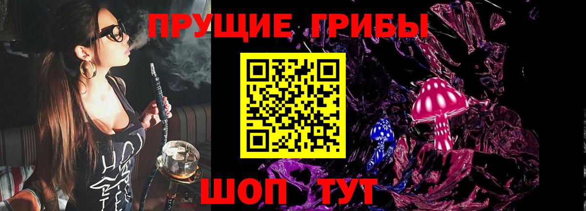 Галлюциногенные грибы Psilocybe  Вход с VPN  Воркута 